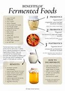 Image result for Fermented Food Process