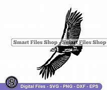 Image result for Concorde SVG