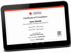 Image result for American Red Cross Lifeguard Certification Badges