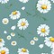 Image result for Hand Drawn Daisy Flower