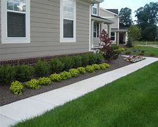 Image result for Landscaping with Boxwood Shrubs