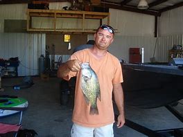 Image result for Arkansas Fish