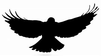 Image result for Raven Symbol Copy and Paste