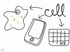 Image result for Cells in Computer Science