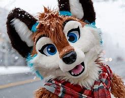 Image result for Human Fursuit