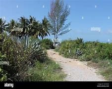 Image result for To Strand Beach Path