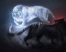 Image result for Fire and Ice Tiger