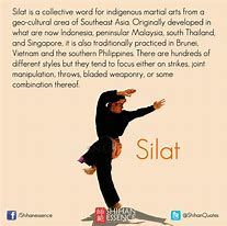 Image result for Silat Forms