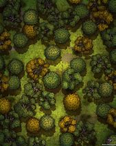 Image result for Nature Preserve Battle Maps