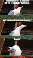 Image result for Seagull Meme Christmas