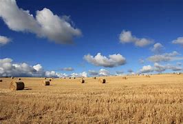 Image result for Hay Field