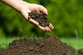 Image result for Soil Series