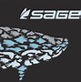 Image result for Sage Fly Fishing