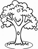 Image result for Tree Outline Graphic