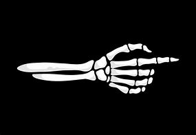 Image result for Skeleton Hand and Arm