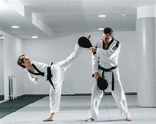 Image result for Taekwondo Exercises