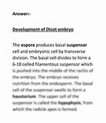 Image result for Dicot Embryo Development