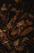 Image result for Mulch Pics