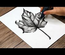 Image result for Realistic Leaf Clip Art