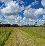 Image result for Wittlinger Nature Preserve