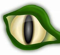 Image result for Cartoon Alligator Eyes