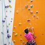 Image result for Top Rope Rock Climbing