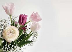 Image result for Bouquet 4K