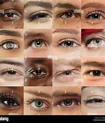 Image result for Pair of Male Eyes