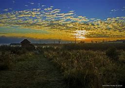 Image result for Rietvlei Nature Reserve South Africa