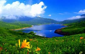 Image result for 5D Wallpaper Nature