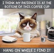 Image result for Grumpy Cat Drinking Coffee