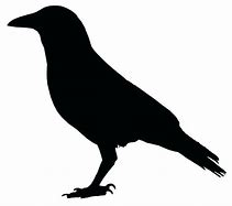 Image result for Raven Symbol Copy and Paste