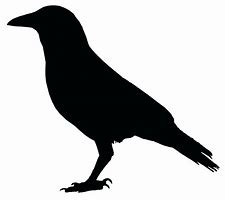 Image result for Raven ASCII