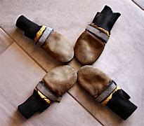 Image result for Dog Hiking Boots