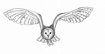 Image result for Flying Owl Prop