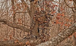 Image result for Realtree Camo Deer