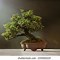 Image result for Bonsai Pine Tree