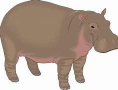 Image result for Vector Illustration Cartoon Hippo