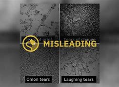 Image result for Happy vs Sad Tears Under a Microscope