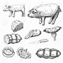 Image result for Sausage Cross Section Drawing