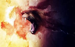 Image result for Lion Raors