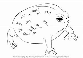 Image result for Rainbow Frog Drawing Art