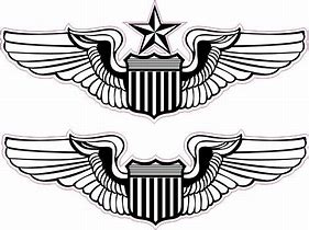 Image result for Pilot Aircrew Wings