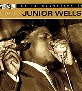 Image result for Album Covers Images Junior Wells