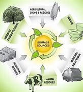 Image result for Picture of Biomass Energy Plant to Grid