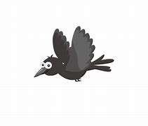 Image result for Crow Bird GIF