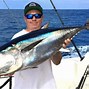 Image result for Bluefin Tuna Fin