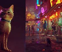 Image result for Cat Game PS5