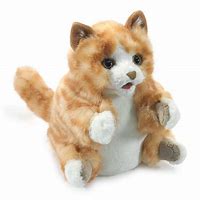 Image result for Cat Puppets Orange Tabby Cat