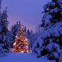 Image result for Christmas Season Pictures